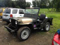 Jeep CJ3A