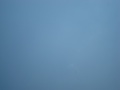 Parachute Out