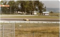 SCCA/CART Indy Car Race